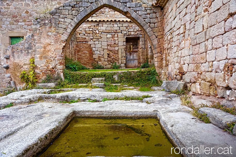 Arcada gòtica del celler amb una de les basses d'aigua al davant.