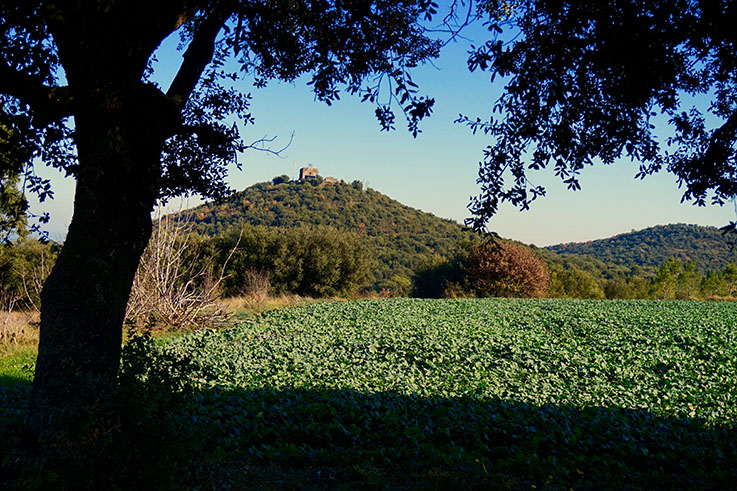 Turó de Sant Jordi a Maçanet de la Selva.