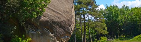 Parc natural de Guilleries-Savassona.