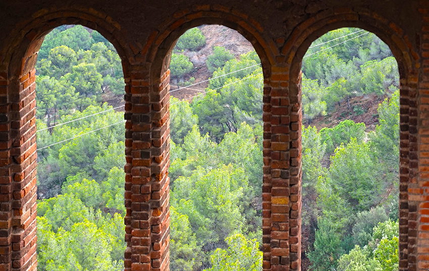 El bosc a través de les finestres del Castell de Torre del Baró