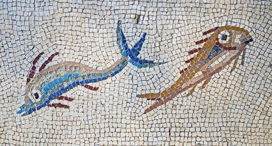 Mosaic del Museu Arqueològic Tarragona.