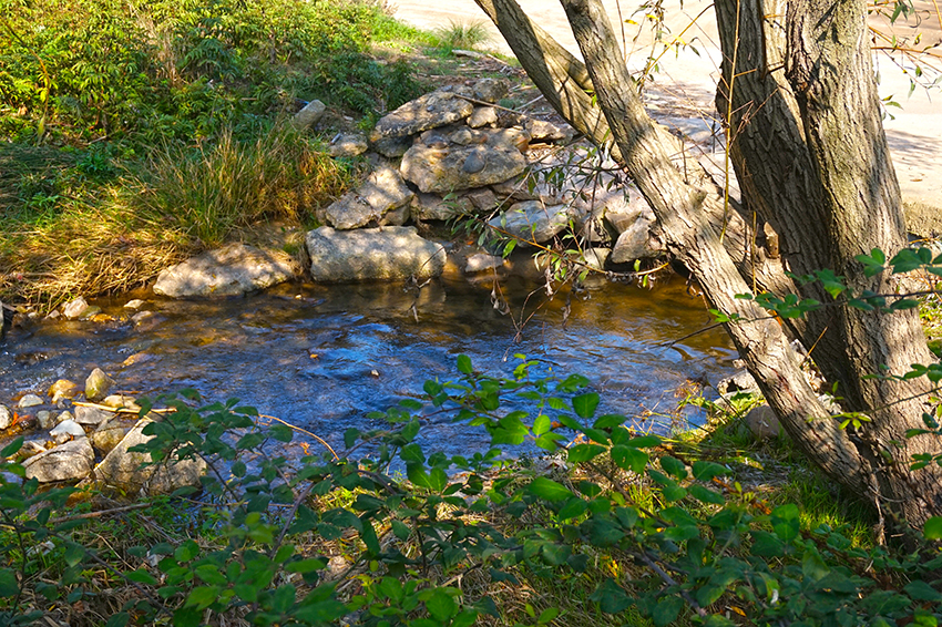 Riu Mogent. Vilanova del Vallès. Vallès Oriental