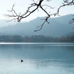 Estany de Banyoles.