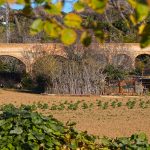 Aqüeducte Can Clota. Esplugues de Llobregat. Baix Llobregat