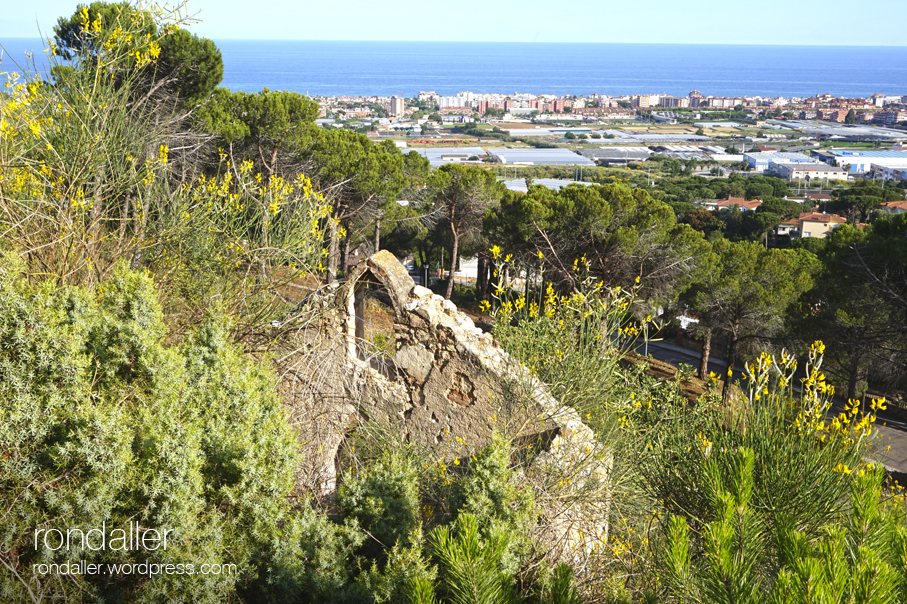 Panoràmica des de la Coetera de Ca n'Amat de Cabrils