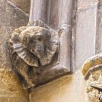 Vilafranca del Penedès. Alt Penedès. Església de Santa Maria. Gòtic. Capitell. Gos