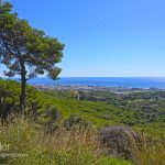 Panoràmica. Agell. Cabrera de Mar. Maresme