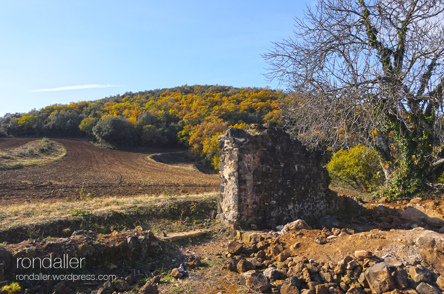 Excursió a Sant Llorenç d'Adri. Volcà de Puig d'Adri.