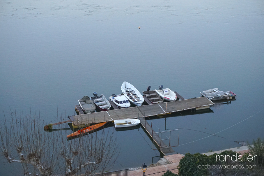 Barques amarrades al pantalà del riu Ebre.