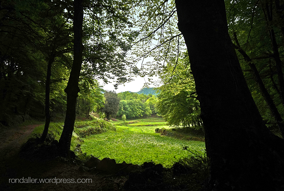 Itineraris, Panoràmica amb els boscos de la Fageda d'en Jordà a la Garrotxa.