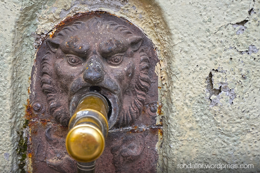 Broc amb cara de lleó de la font de Sant Vicenç de Torelló.