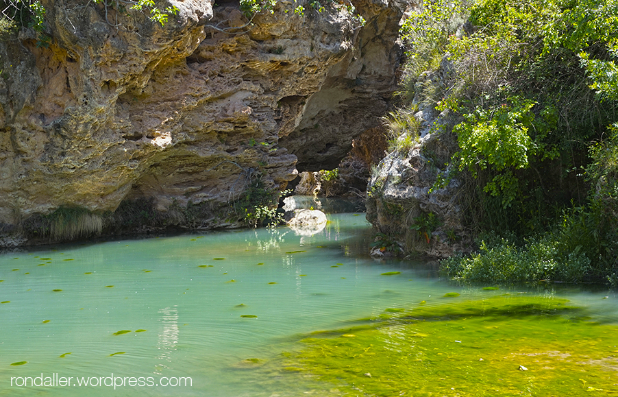 Deus de Sant Quintí de Mediona. Estany que discorre entre les roques.