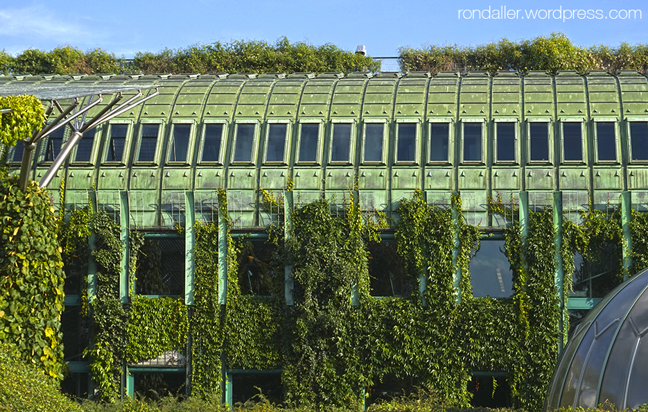 Itinerari per Varsòvia. La vegetació cobreix gran part de l'avantguardista  Biblioteca Universitària.