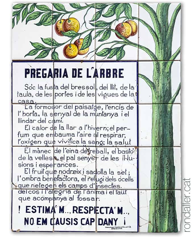 Poema anònim de la Pregària de l'Arbre a la plaça de Sant Sebastià de Moià.