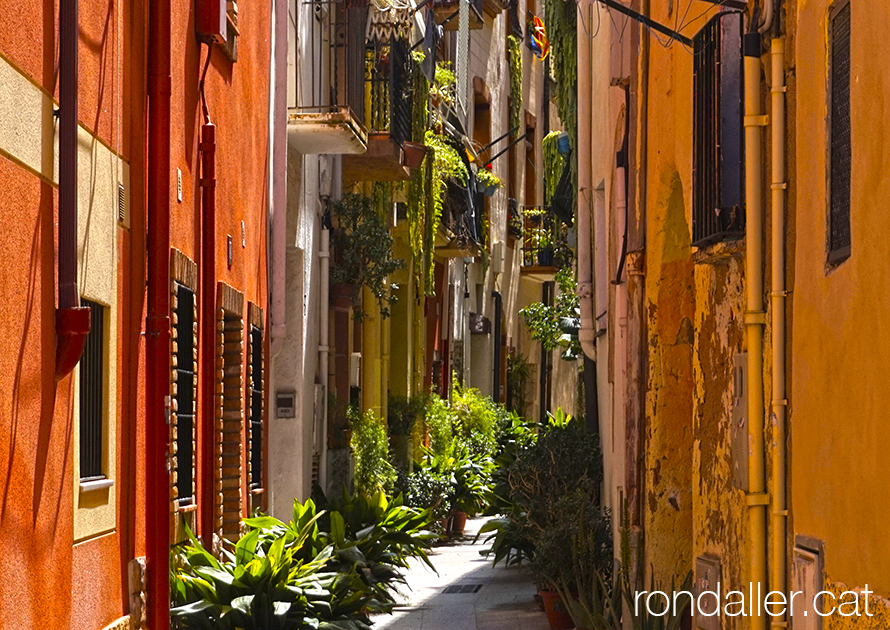 L'estret carrer de Lloberas, guarnit amb plantes.