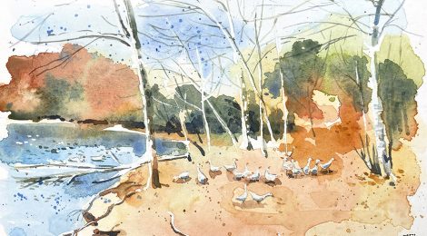 Aquarel·la de la bassa dels ànecs a la Roca del Vallès.