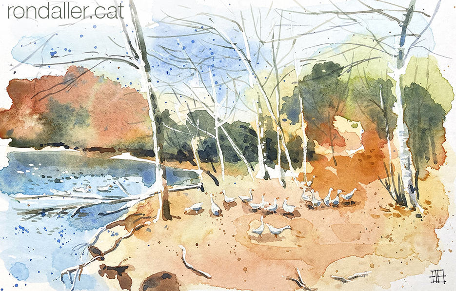 Aquarel·la de la bassa dels ànecs a la Roca del Vallès.