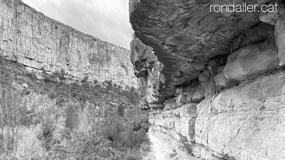 Panoràmica dels penyasegats a la vora del Túria.