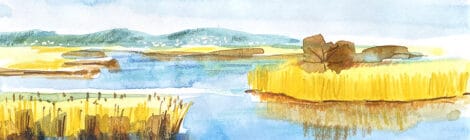 Aquarel·la amb una panoràmica dels aiguamolls del Fluvià.
