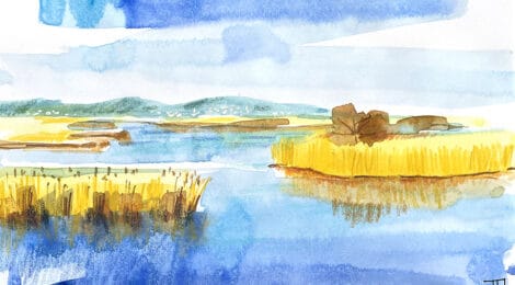 Aquarel·la amb una panoràmica dels aiguamolls del Fluvià.