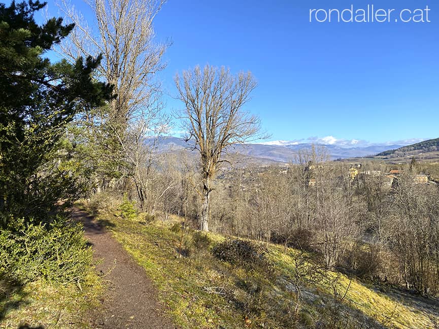 Corriol a la muntanya amb la panoràmica dels Pirineus al fons.