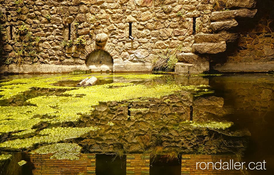 Castell de Requesens a la Jonquera. Estany al pati del recinte.