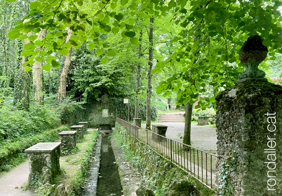 Paratge de la Font Moixina envoltada de bosc, amb uns bancs de pedra.