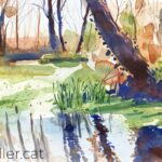 Aquarel·la amb una vista d'un paisatge boscós a la vora d'un estany.