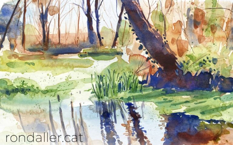 Aquarel·la amb una vista d'un paisatge boscós a la vora d'un estany.