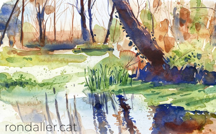 Aquarel·la amb una vista d'un paisatge boscós a la vora d'un estany.