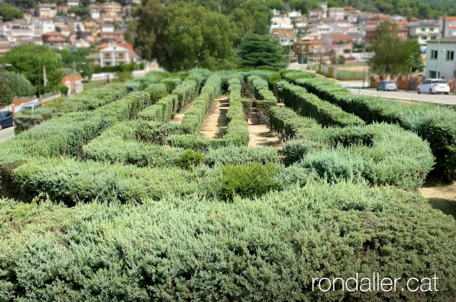 Laberint fet amb plantes de Sant Fost de Campsentelles.