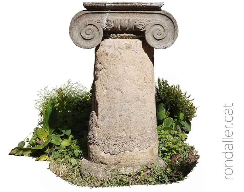 Fragment d'una columna coronada amb un capitell jònic al mig del jardí.