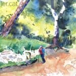 Aquarel·la amb una vista de l'entorn natural de la font de Sant Mateu.