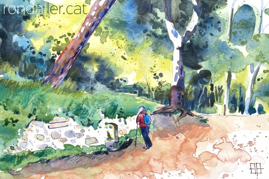 Aquarel·la amb una vista de l'entorn natural de la font de Sant Mateu.