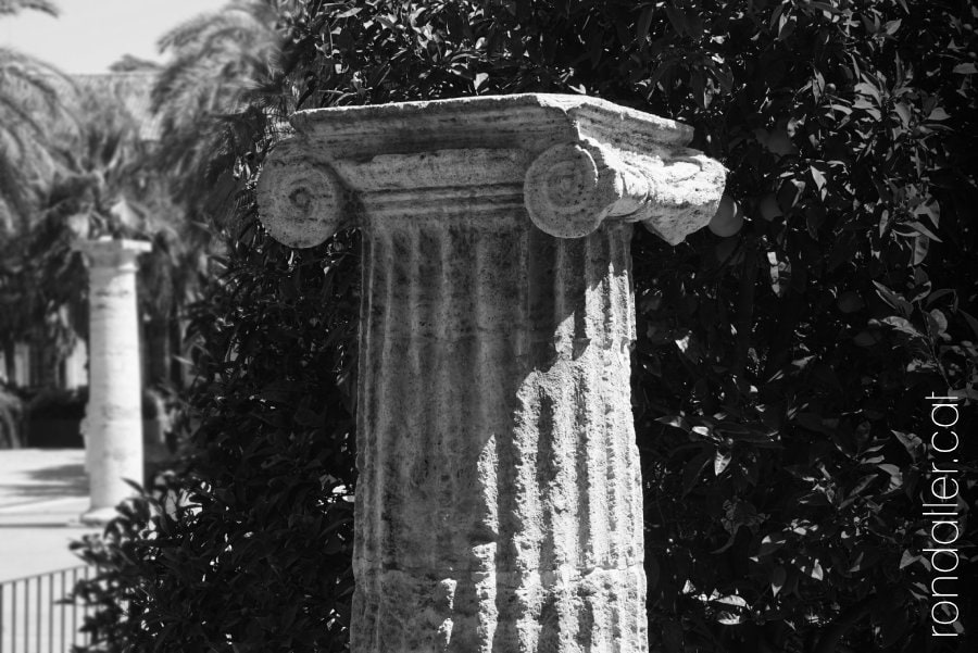 Columna estriada amb capitell jònic corresponent a la reforma duta a terme al segle XVI.