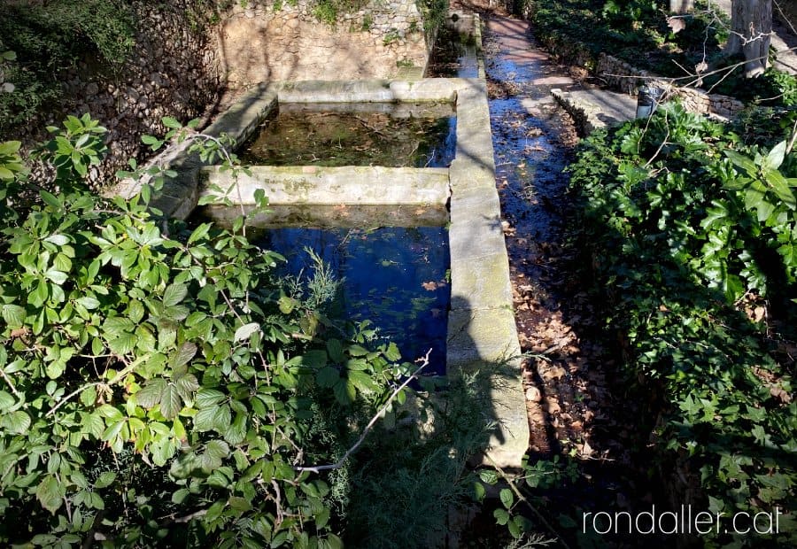 Antics rentadors al costat de la riera de la Bisbal del Penedès.