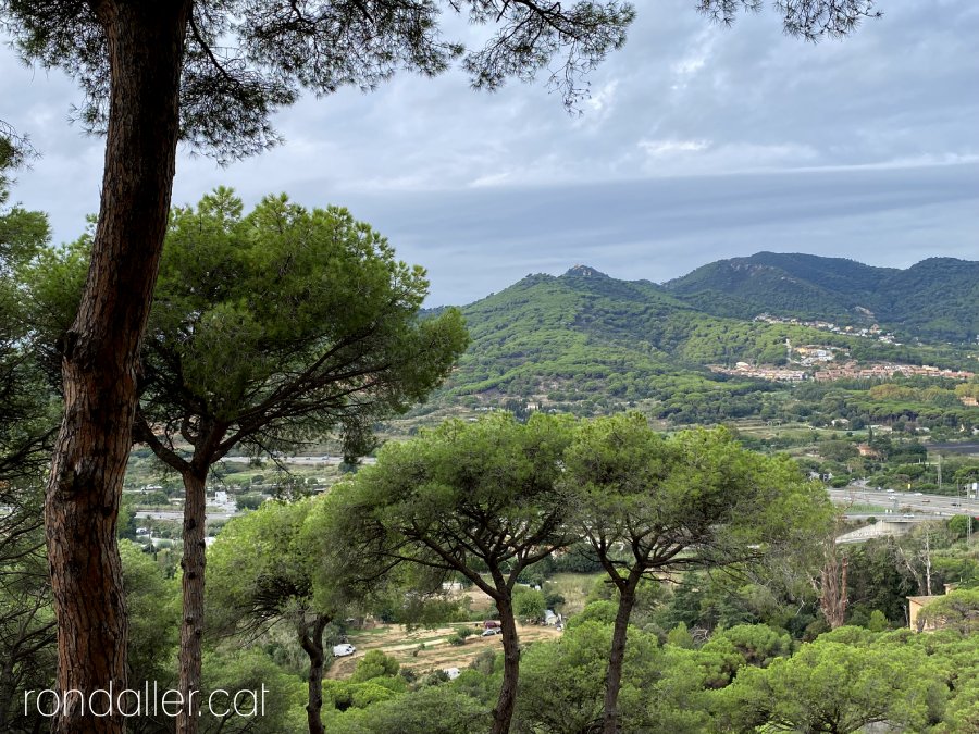 Panoràmica del parc de la Serralada Litoral, amb el Burriac al fons.